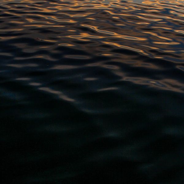 Close-up of calm water ripples with a golden hue.